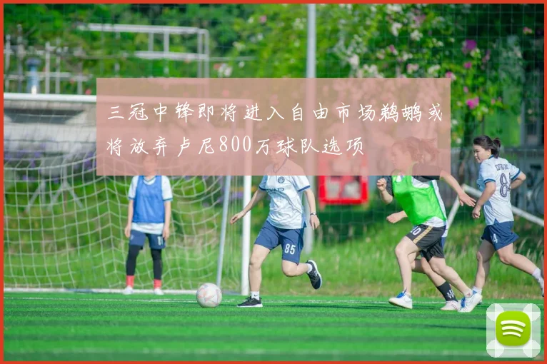 三冠中锋即将进入自由市场鹈鹕或将放弃卢尼800万球队选项